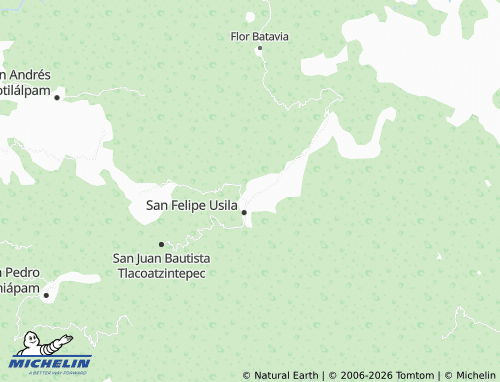 MICHELIN Buena Vista map - ViaMichelin
