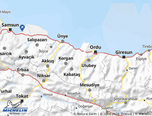 MICHELIN Çamaş map - ViaMichelin