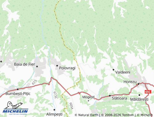 Carte MICHELIN Cerna - ViaMichelin