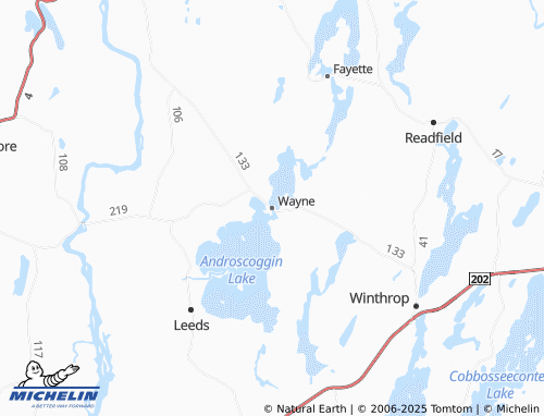 MICHELIN-Landkarte Wayne - ViaMichelin