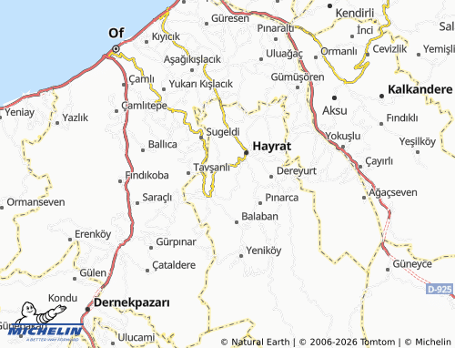 MICHELIN Pazarönü map - ViaMichelin