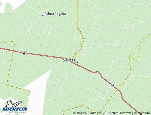 MICHELIN Del Bosque map - ViaMichelin