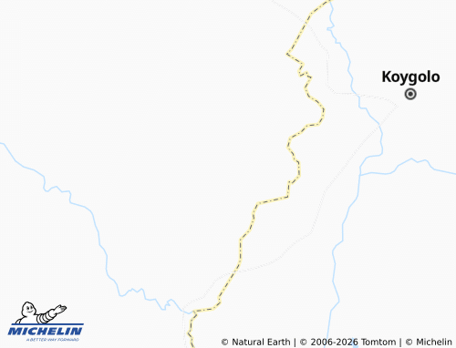 Mappa MICHELIN Zouzou Saney - ViaMichelin