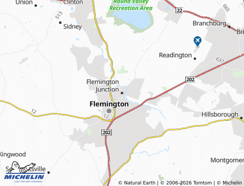 Mappa MICHELIN Flemington Junction - ViaMichelin