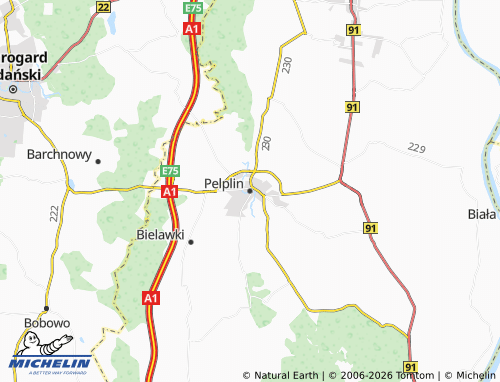 Mappa MICHELIN Pelplin - ViaMichelin