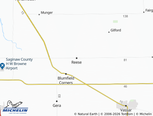 Mappa MICHELIN Reese - ViaMichelin