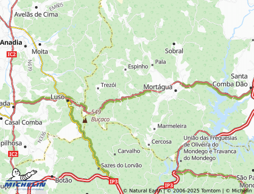 MICHELIN-Landkarte Vale do Porto - ViaMichelin