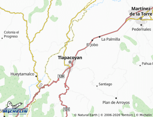 Mapa MICHELIN Colonia El Fénix - ViaMichelin