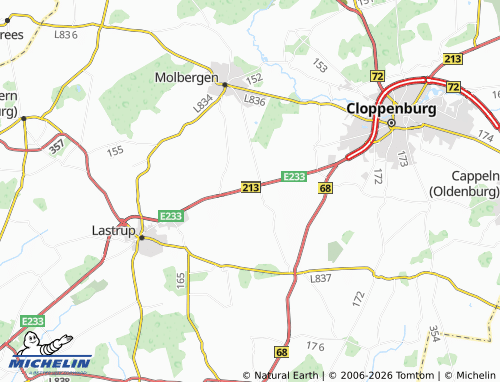 MICHELIN Nieholte map - ViaMichelin