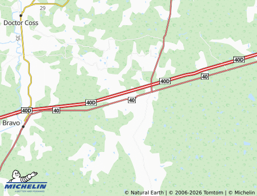 Mappa MICHELIN General Tapia, Mariano Escobedo - ViaMichelin