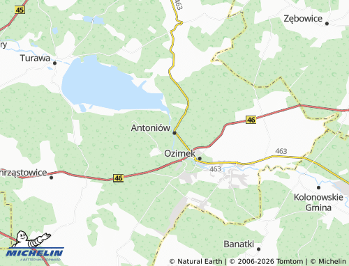 MICHELIN Antoniów map - ViaMichelin