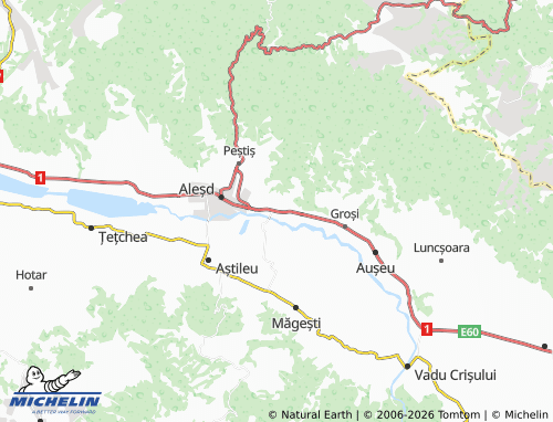 MICHELIN Tinăud map - ViaMichelin