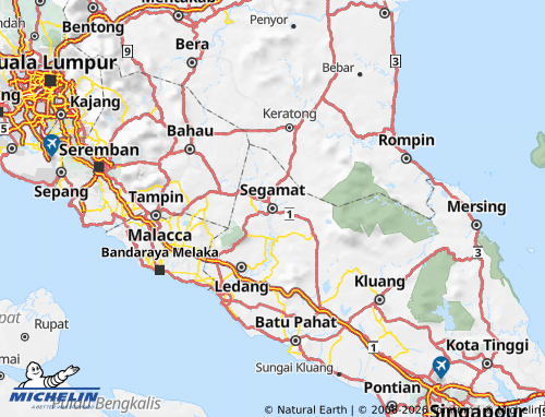 MICHELIN Segamat map - ViaMichelin