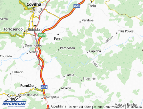 MICHELIN Vales de Pêro Viseu map - ViaMichelin