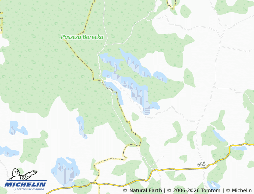 MICHELIN Borki map - ViaMichelin