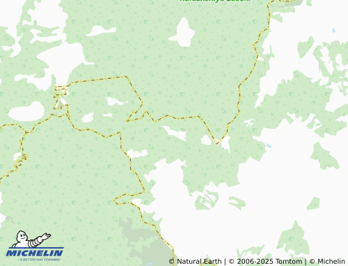 MICHELIN Gorodok map - ViaMichelin