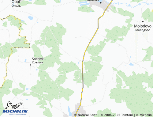 MICHELIN Druzhilovichi map - ViaMichelin