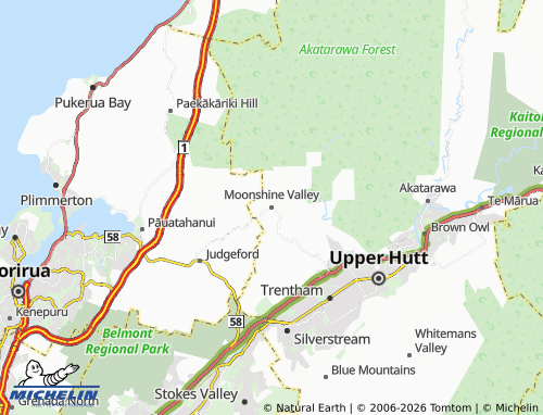 MICHELIN-Landkarte Moonshine Valley - ViaMichelin