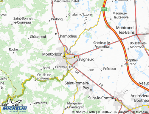 Carte MICHELIN Savigneux - ViaMichelin
