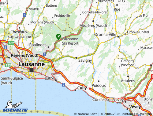 Mappa MICHELIN Savigny - ViaMichelin