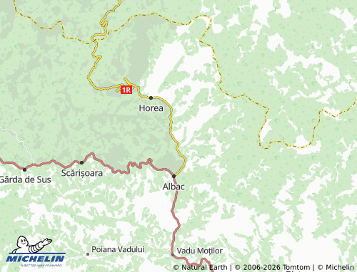 MICHELIN Budăiești map - ViaMichelin