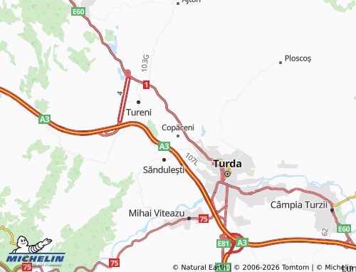 Mappa MICHELIN Copăceni - ViaMichelin