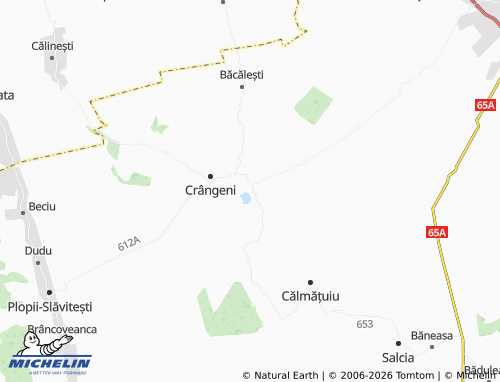Carte MICHELIN Balta Sărată - ViaMichelin