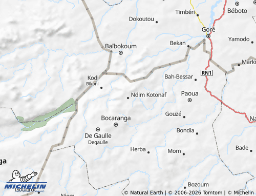 Mappa MICHELIN Ngaoundaye - ViaMichelin
