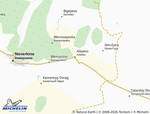 MICHELIN-Landkarte Aleyevo - ViaMichelin