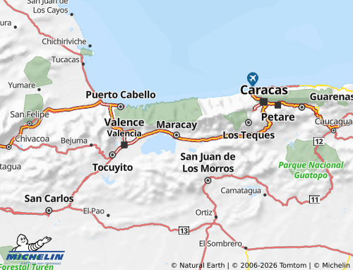 Kaart MICHELIN Aragua - ViaMichelin