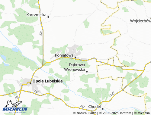 MICHELIN Poniatowa map - ViaMichelin