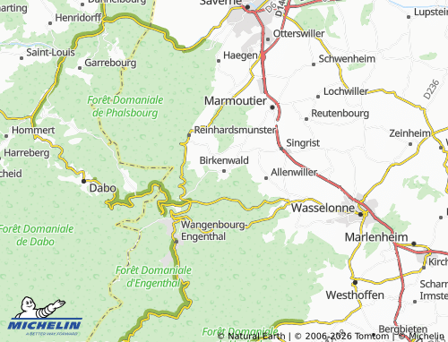 Mapa MICHELIN Birkenwald - ViaMichelin