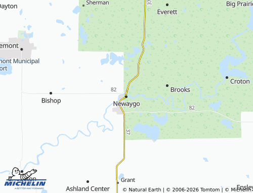 Mappa MICHELIN Newaygo - ViaMichelin