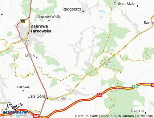 MICHELIN Luszowice map - ViaMichelin