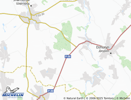 MICHELIN Dubynky map - ViaMichelin