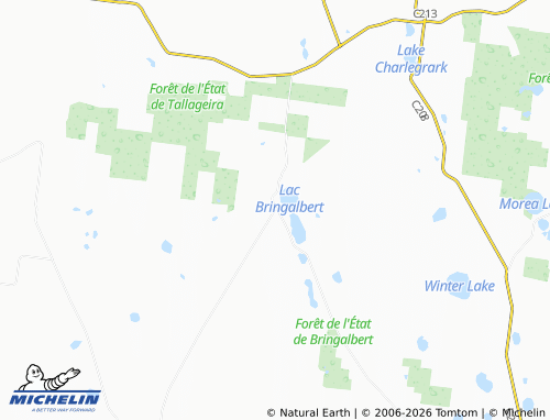 Mapa MICHELIN Bringalbert - ViaMichelin