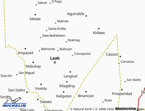 MICHELIN Concepcion map - ViaMichelin