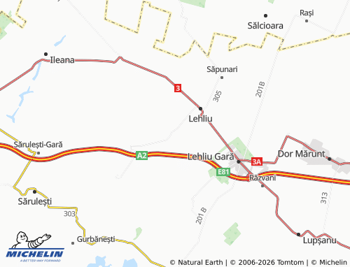 MICHELIN Paicu map - ViaMichelin