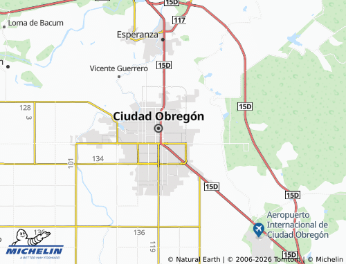 Mapa MICHELIN Benito Juárez - ViaMichelin