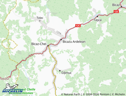Carte MICHELIN Ivaneș - ViaMichelin