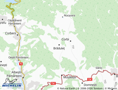 MICHELIN-Landkarte Brăduleț - ViaMichelin