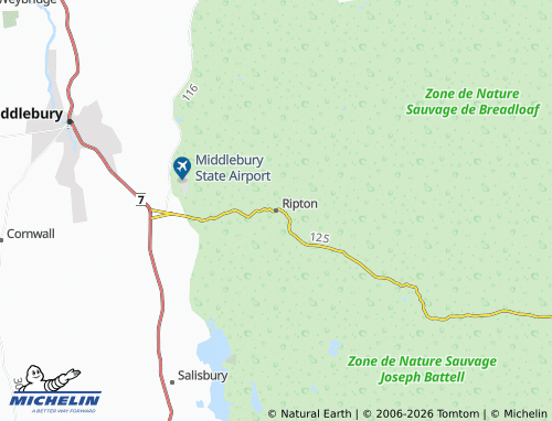 Mapa MICHELIN Ripton - ViaMichelin