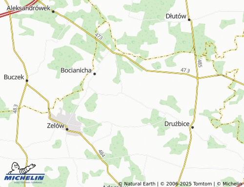 MICHELIN Kociszew map - ViaMichelin