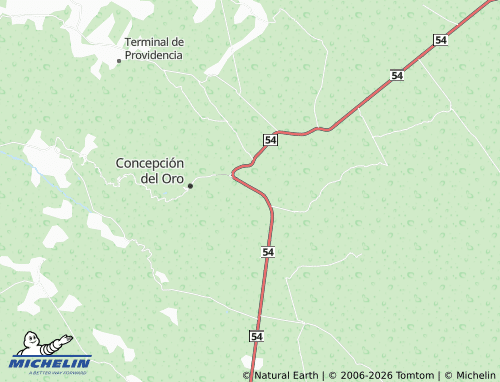 MICHELIN-Landkarte Infonavit Concepción del Oro - ViaMichelin