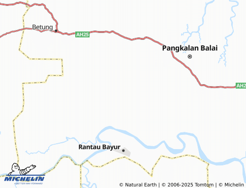 MICHELIN Petaling map - ViaMichelin