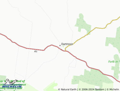 MICHELIN Dartmoor map - ViaMichelin