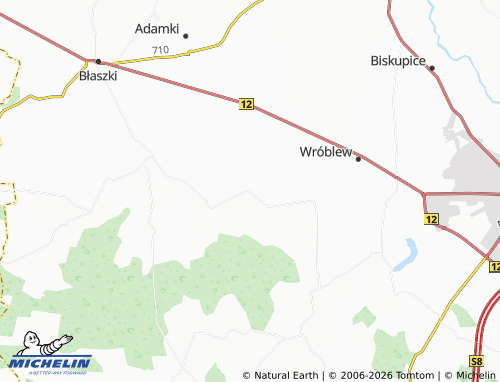 MICHELIN Wągłczew map - ViaMichelin