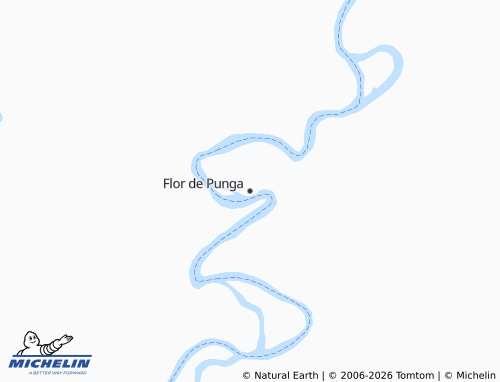 Carte MICHELIN Flor de Punga - ViaMichelin