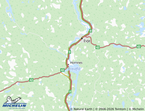 MICHELIN Evjemoen map - ViaMichelin