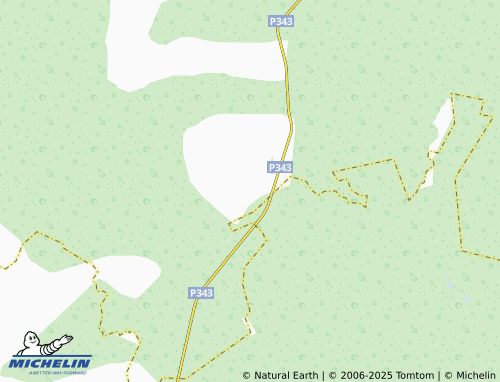 MICHELIN Volokushino map - ViaMichelin